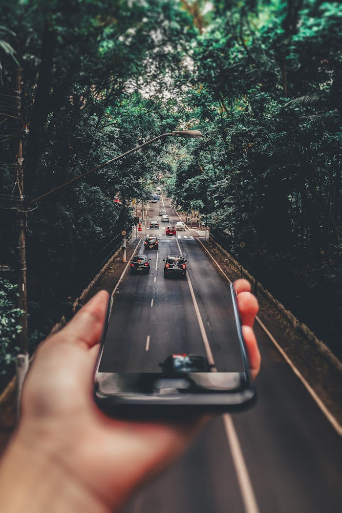 services-03 Creative blend of technology and nature with smartphone framing a bustling road through forest.